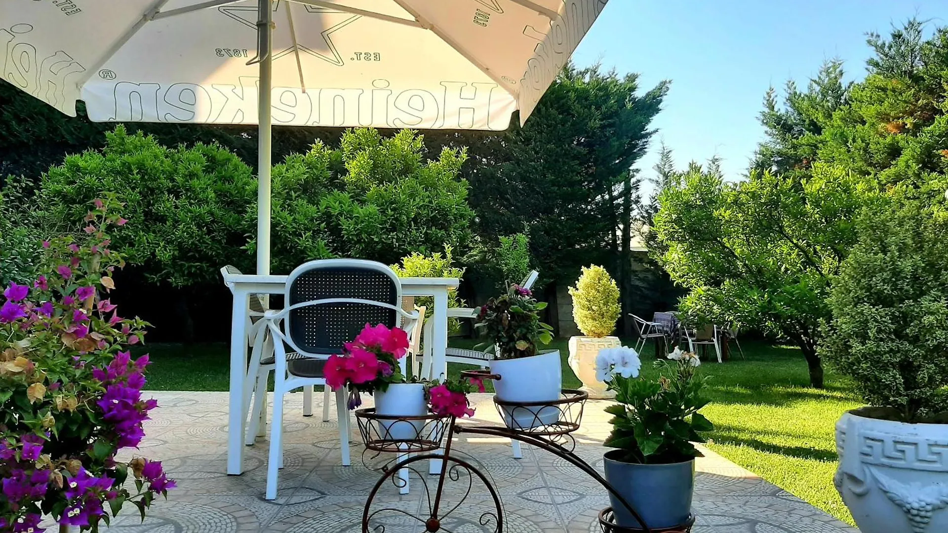 Hotel Vila Arbri Berat